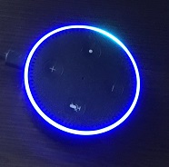 アレクサ 黄色 ランプ